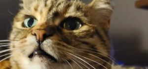 Aktuell und Informativ